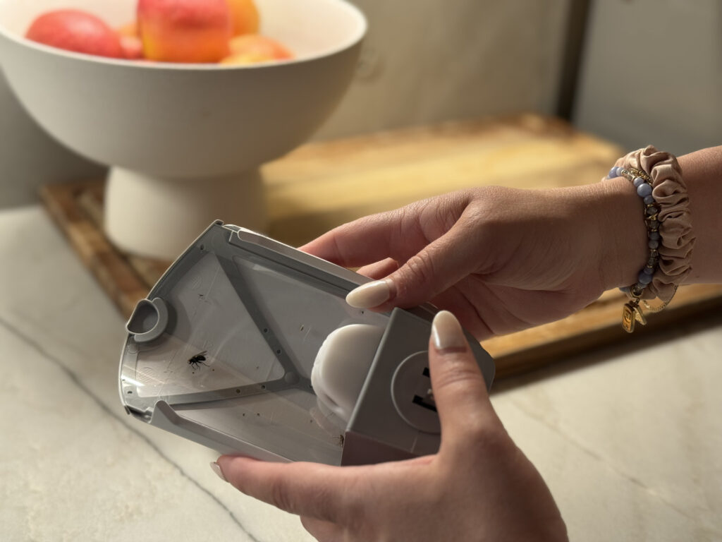 zevo flying bug catcher summer kitchen